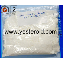 Testostérone crue Cypionate 58-20-8 de poudre de stéroïde anabolisant de bâtiment de muscle